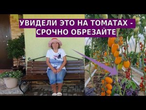 Даже такое жирование может привести к уменьшению урожая