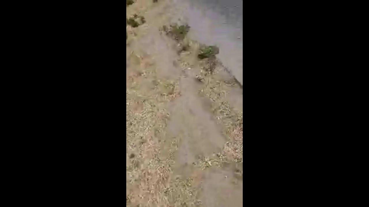 Mr Gamer FF в прямом эфире! смотреть онлайн