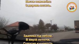 ВИСНЕ НЕБО СИНЄ (ПЛЮС)