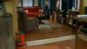 Гарфилд танцует