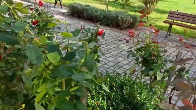 КАРПАТЫ ☔ РЕЗКОЕ ПОХОЛОДАНИЕ ⛪ ПРИРОДА ЗАКАРПАТЬЯ - началось бабье лето? смотреть онлайн