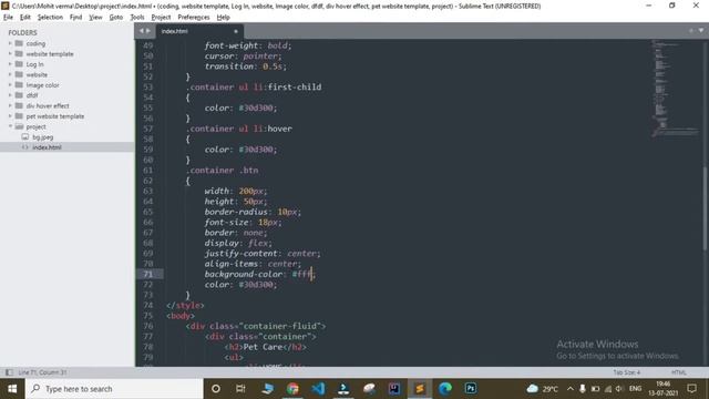 How to Make Pet Website in HTML and CSS with Source code || Creative Networks || Website Template