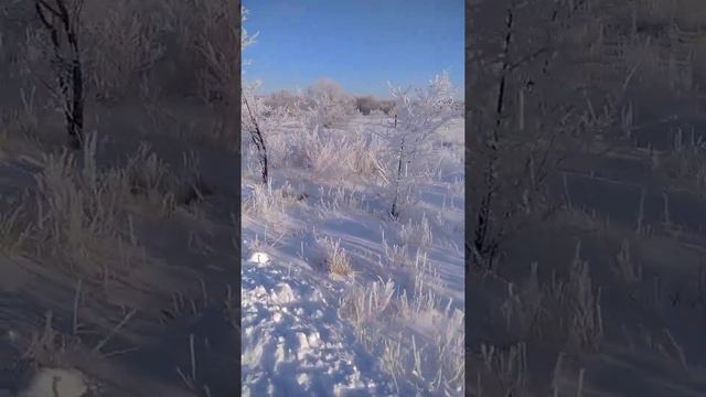 -25 , под ногами скрипит снег