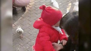 ДЕВОЧКА ЗАБРАЛА У ГОЛУБЯ ХЛЕБ! girl and pigeon