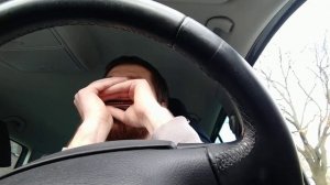 Ой, цветет калина ♫ на губной гармошке