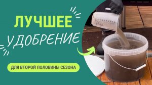 Лучшая подкормка для растений во второй половине сезона