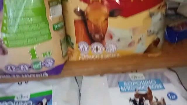 ??? Какой премикс ЛУЧШЕ подходит КРОЛИКАМ а какой ПТИЦЕ ??? Мясокостная и рыбная мука / дрожжи корм смотреть онлайн