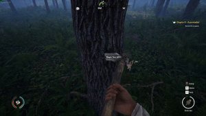 Medieval Dynasty | Королевская Династия #1