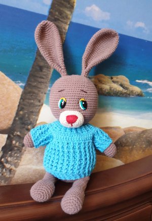 Свитер для зайки Бони