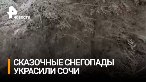 На Сочи обрушился снегопад: в горах выпало почти полметра осадков / РЕН Новости