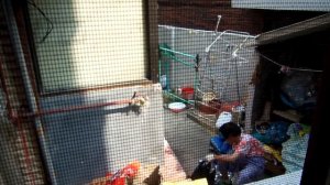 Как живут пенсионеры в Корее  г  Сеул 2014 Made by Yulia Ross