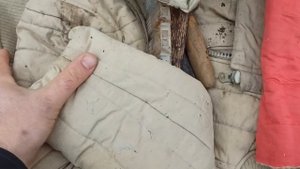 ПЧЁЛЫ ??. КЛЕЩ ТРОПИЛАЕЛАПС МЫСЛИ ВСЛУХ.