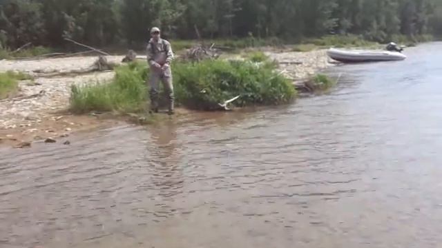 Сима на блесну