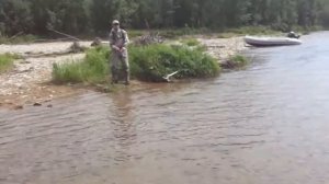 Сима на блесну