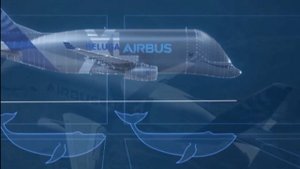 Airbus A300-600ST BELUGA. Самый большой и добрый.