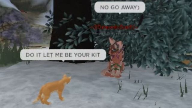 5 Types Of Players In WC:UE | Warrior Cats: Ultimate Edition Roblox смотреть онлайн