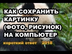 Как сохранить картинку (фото, рисунок) на компьютер