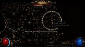 poe Elegant Hubris Timeless Jewel more than 800%damage from all type