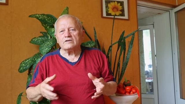 Как с помощью правильных сорняков поднять иммунитет растений. Часть 3 смотреть онлайн