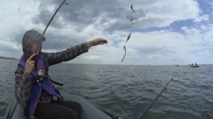 Ловля ставриды на самодур.