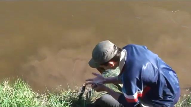 СОМЫ (20 05 2011 Ик Муслюмово) смотреть онлайн