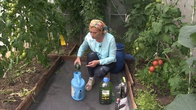 Микробиологическое удобрение Хлорелла