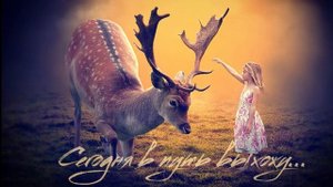 Альбом "Сегодня в путь выхожу" - Стрела избавления
