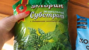 Купили грунт для новой калатеи.