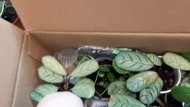 20231211_205957.mp4 смотреть онлайн