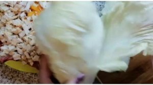 Очень нежный салат ? с куриной грудкой и ? помидором.