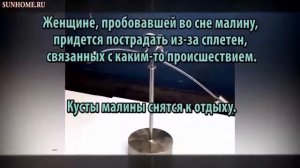 К чему снится Малина сонник, толкование сна