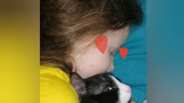 #сонребёнка Засыпает ребёнок быстро с котёнком 😴 Дайте такую возможность поспать с питомцем🐱