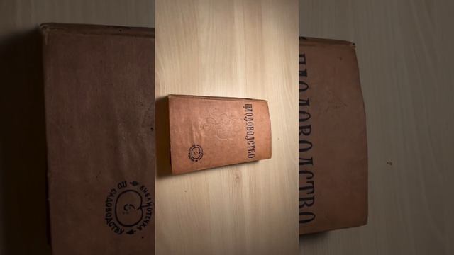 Как посадить (пекировать) помидоры из семян смотреть онлайн