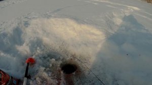 ПОДЛЕДНЫЙ ФИДЕР/ПЕРВЫЙ ОПЫТ