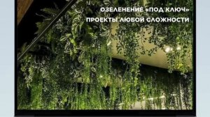 ОЗЕЛЕНЕНИЕ ПОМЕЩЕНИЙ/ ОФИСОВ/ РЕСТОРАНОВ МСК