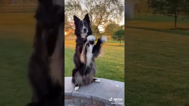 Hello fellow mortal human beings смотреть онлайн