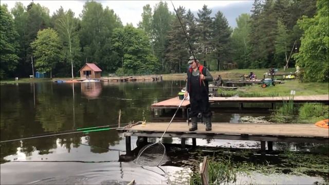 Традиционный пулемётный клёв карпа на верхнем. Клёвое место, лосиный остров. смотреть онлайн