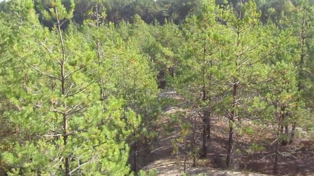 Canon PowerShot SX420 IS 42x zoom смотреть онлайн