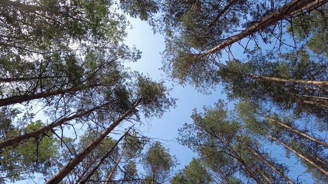 Зарисовка: Озеро Сумка (Шестнадцатое) смотреть онлайн