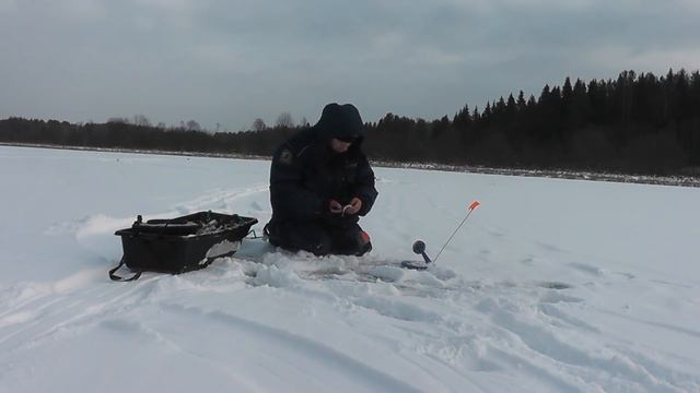Рыбалка на ЖЕРЛИЦЫ! В поисках зубастой красавицы - Болен Рыбалкой №587 смотреть онлайн