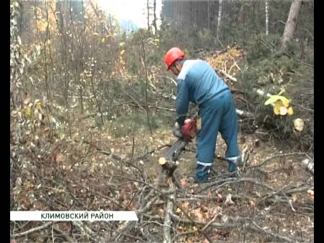 мрск расчистка просек 21 10 14