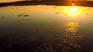 Красный Бор. Озеро Страдное. Krasny Bor. Stradnoe lake.