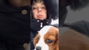 Когда можно забирать щенка у заводчика