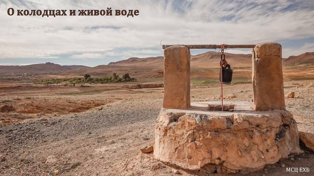 "О колодцах и живой воде". Н. С. Антонюк. МСЦ ЕХБ смотреть онлайн