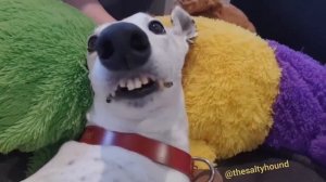 Сoмнамбул???