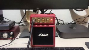 Marshall MS-2R