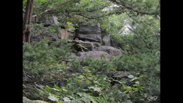 Краеведческий музей Южно-Сахалинска. Часть 1 смотреть онлайн