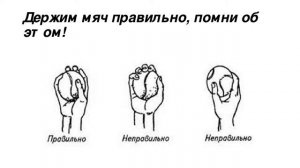Лекция по физической культуре для  5 класса