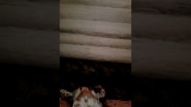 Танцы,танцы,танцы и сводит музыка с ума!!!