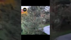 Эксклюзивные кадры обысков в доме Елены Блиновской в Истре